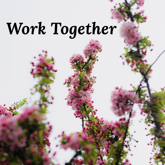 Work Together. Hope Work Together – Hope Harbor Church